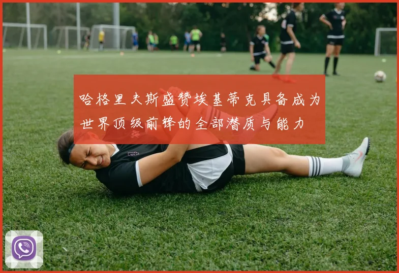 哈格里夫斯盛赞埃基蒂克具备成为世界顶级前锋的全部潜质与能力