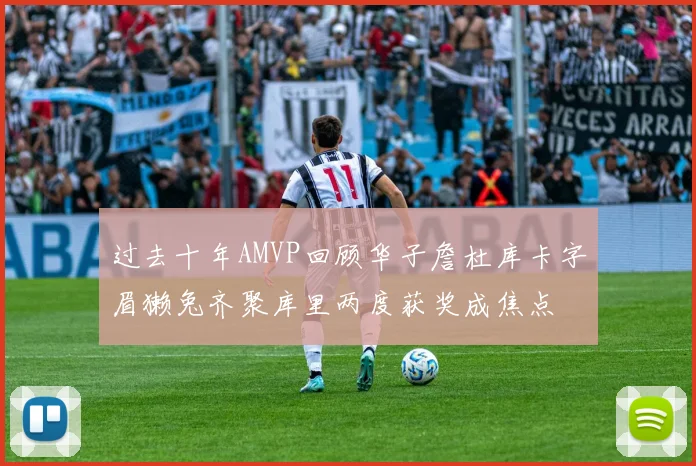 过去十年AMVP回顾华子詹杜库卡字眉獭兔齐聚库里两度获奖成焦点