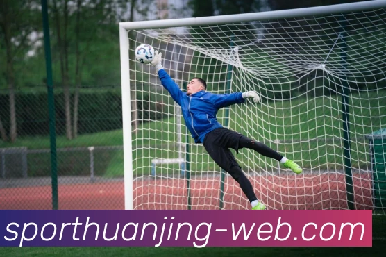 冠竞体育平台生态图